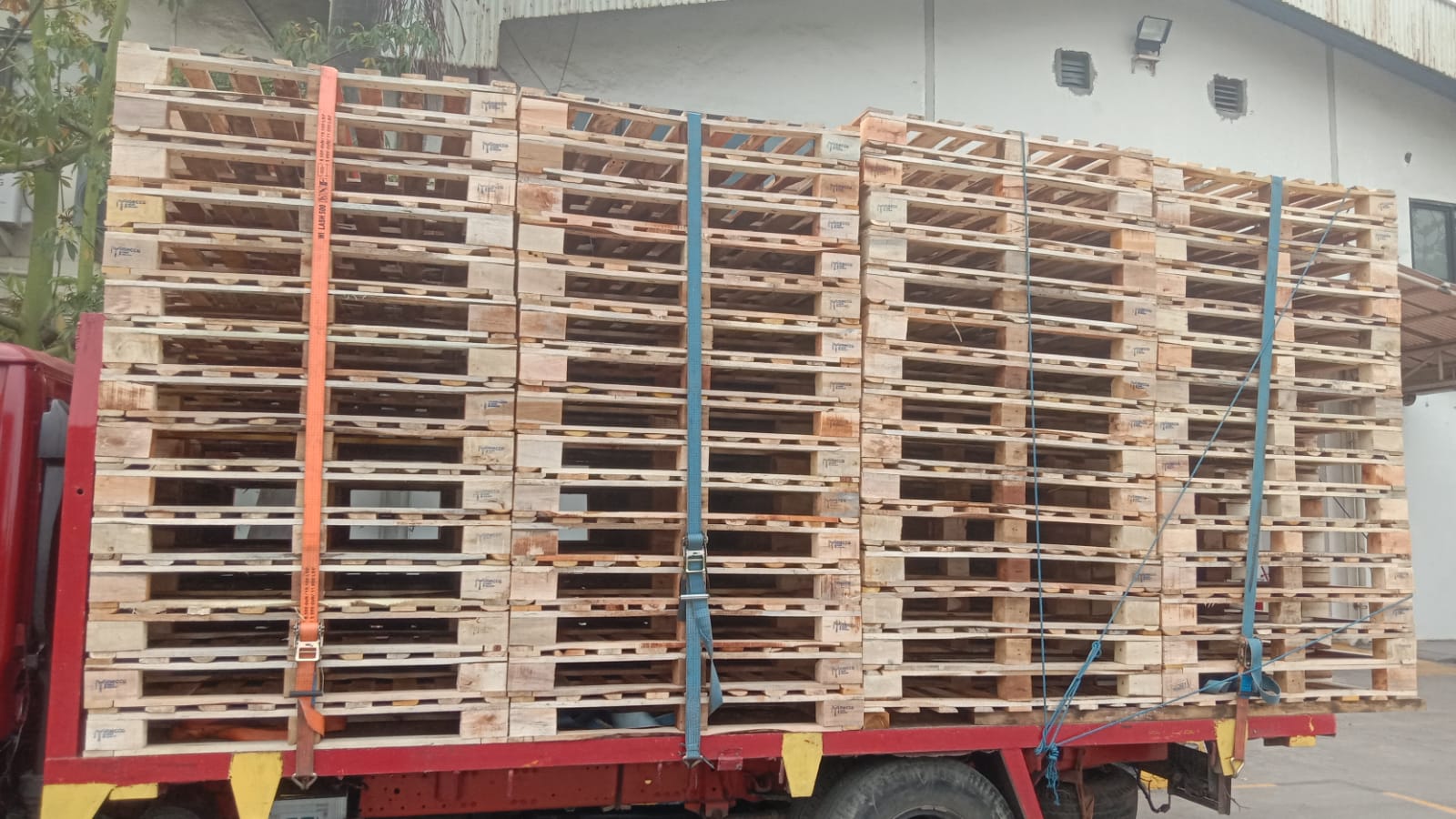 Pallet Kayu